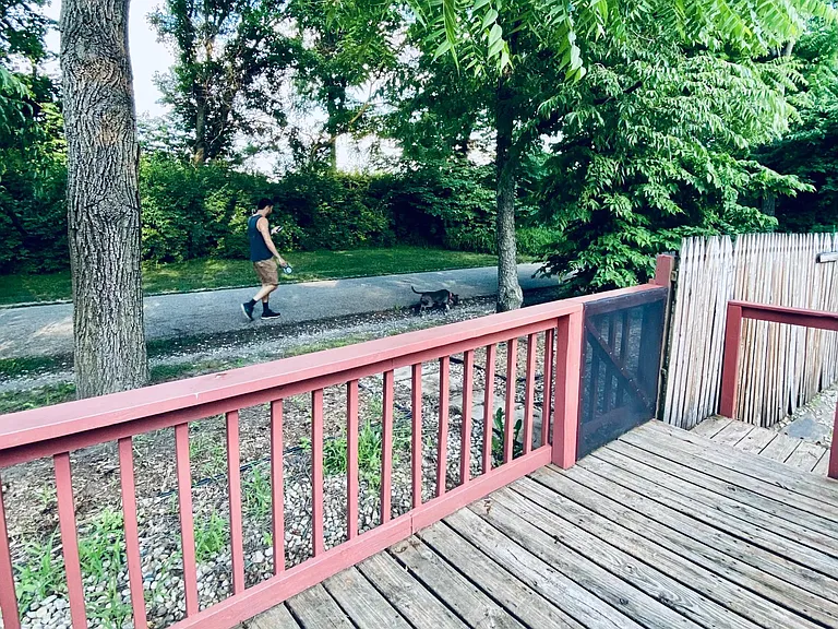 Monon Trail from Lookout Deck