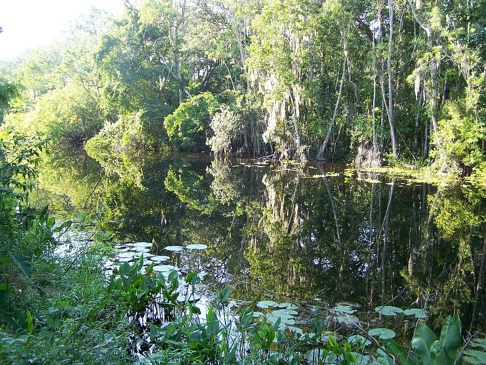 Haines Creek