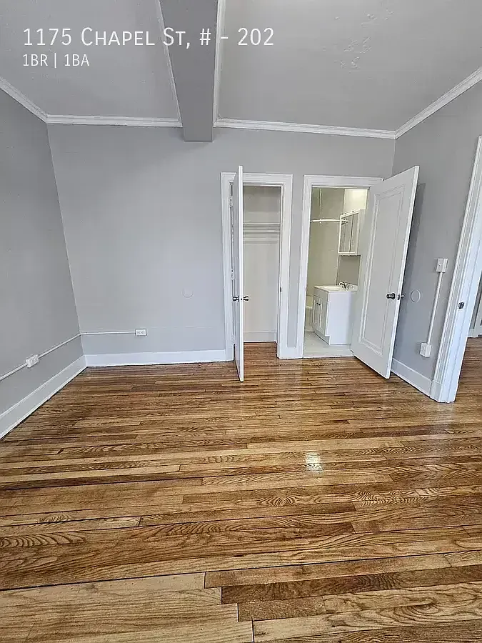 1175 Chapel St #202 — Photo 4