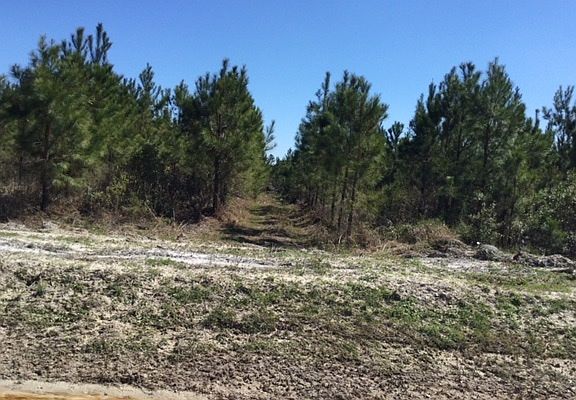 3rd image of 0 NW County Road 239
