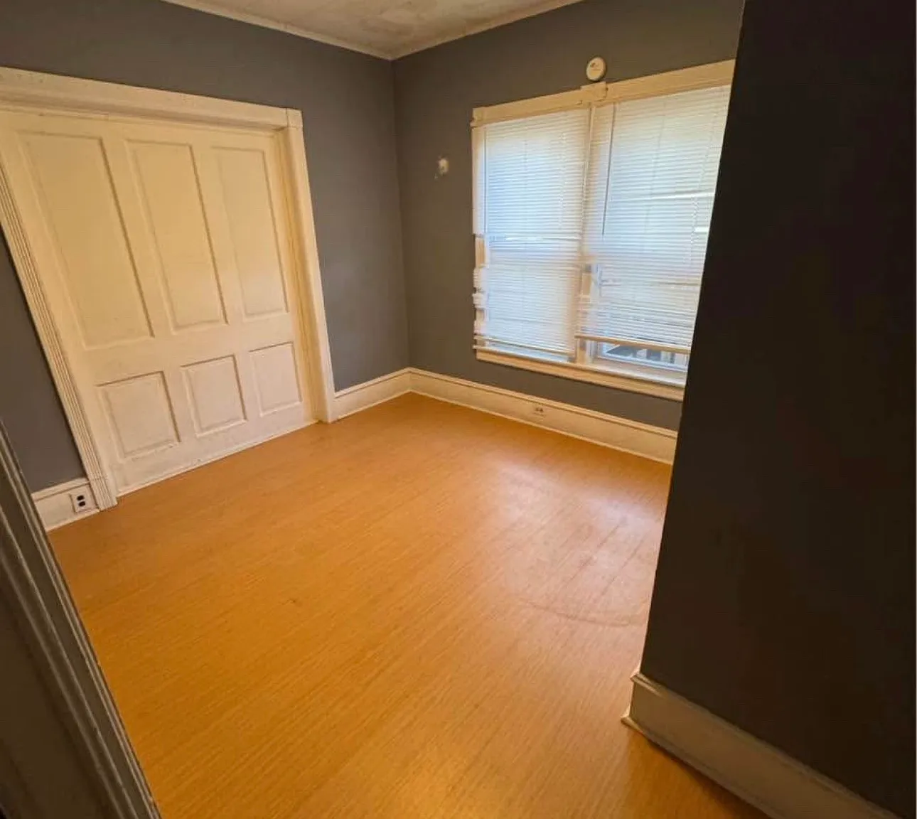 1 bed, 900 sqft, $700 — Photo 4
