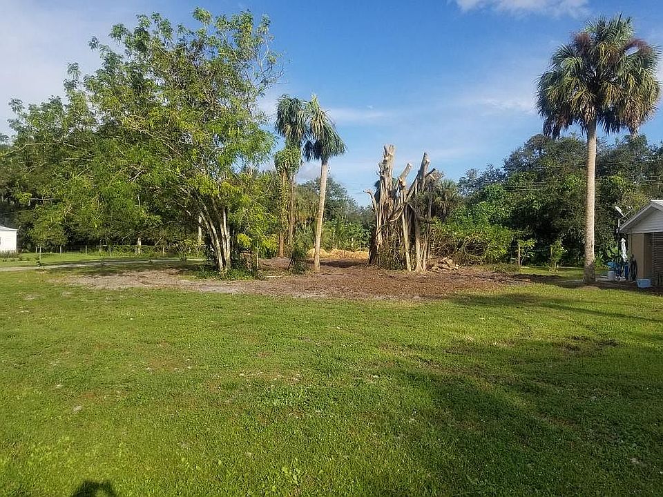 The lot after Banyan cut down
