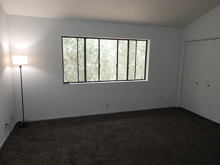 5041 Pine Ridge Ave — Photo 35