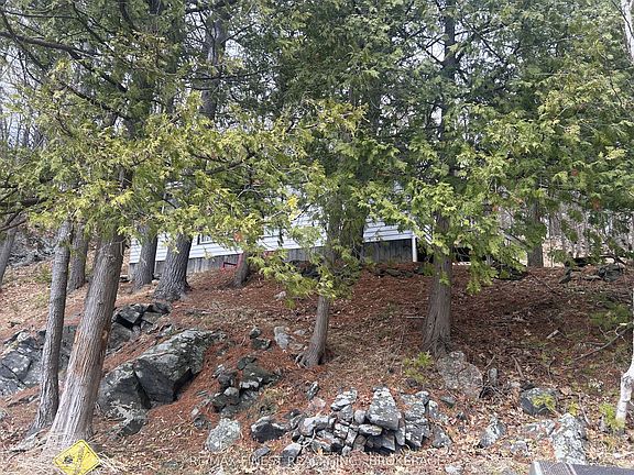 3rd image of 1134 Nelson Rd