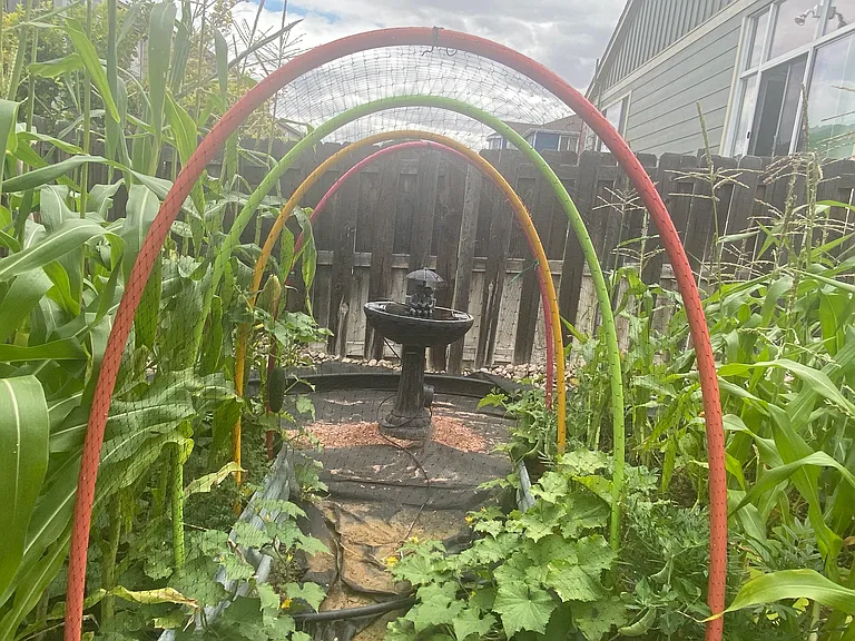 Lovely solar fountain