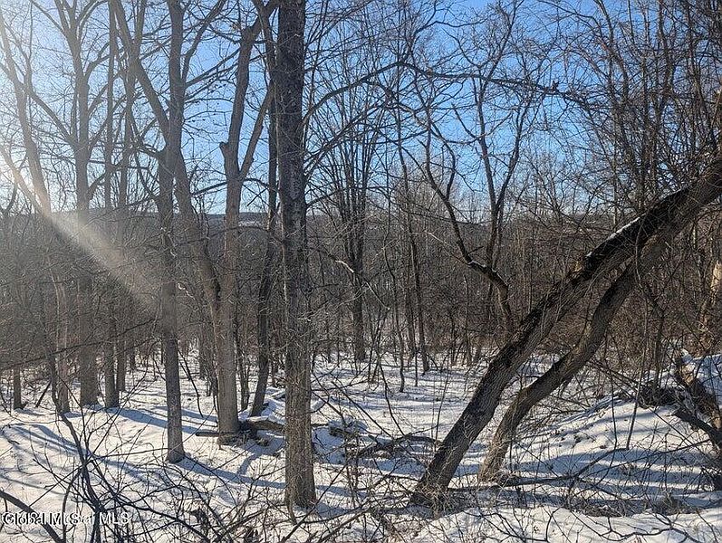 2nd image of L.9 Mountain View Way