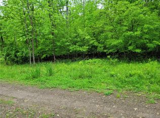 0 County Road 24 #15, Swain, NY