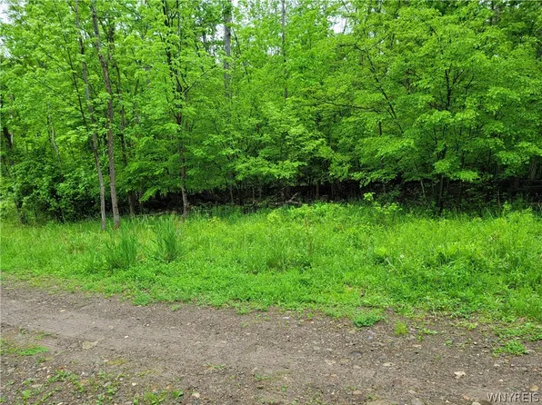 0 County Road 24 #15, Swain, NY 14884