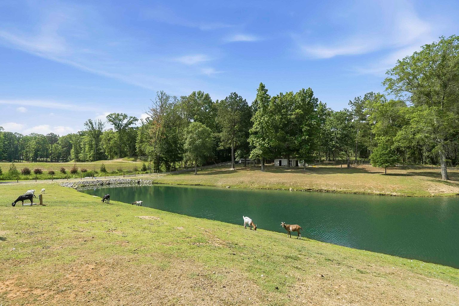 1361 W Broad St, Greensboro, GA 30642 — photo 49