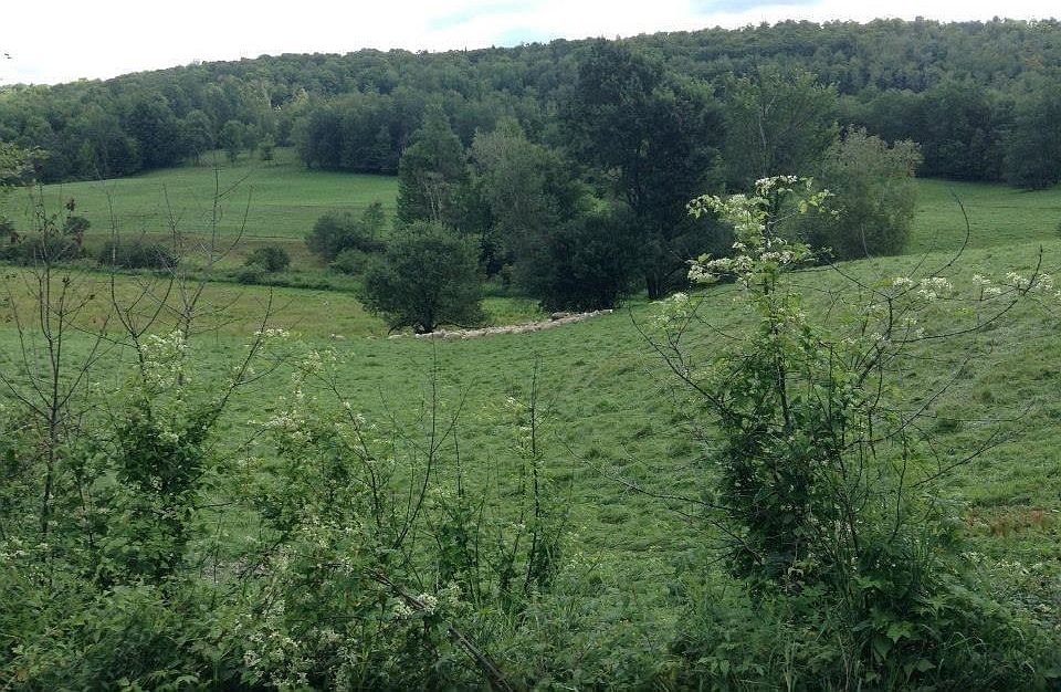 2nd image of 537-B Irish Settlement Road