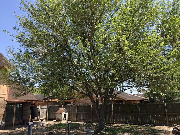 5th image of 962 Blue Bonnet Dr