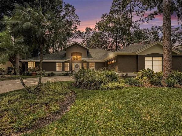 501 Stratfield Dr, Lutz, FL 33549