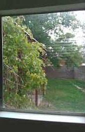 3rd image of 11620 La Cueva Ln NE