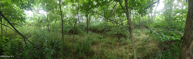 5th image of L3.3 Phillips Road