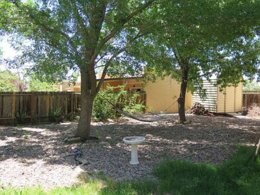large backyard with shed