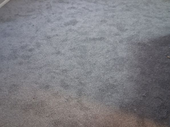 8410 Verree Rd FLOOR 2