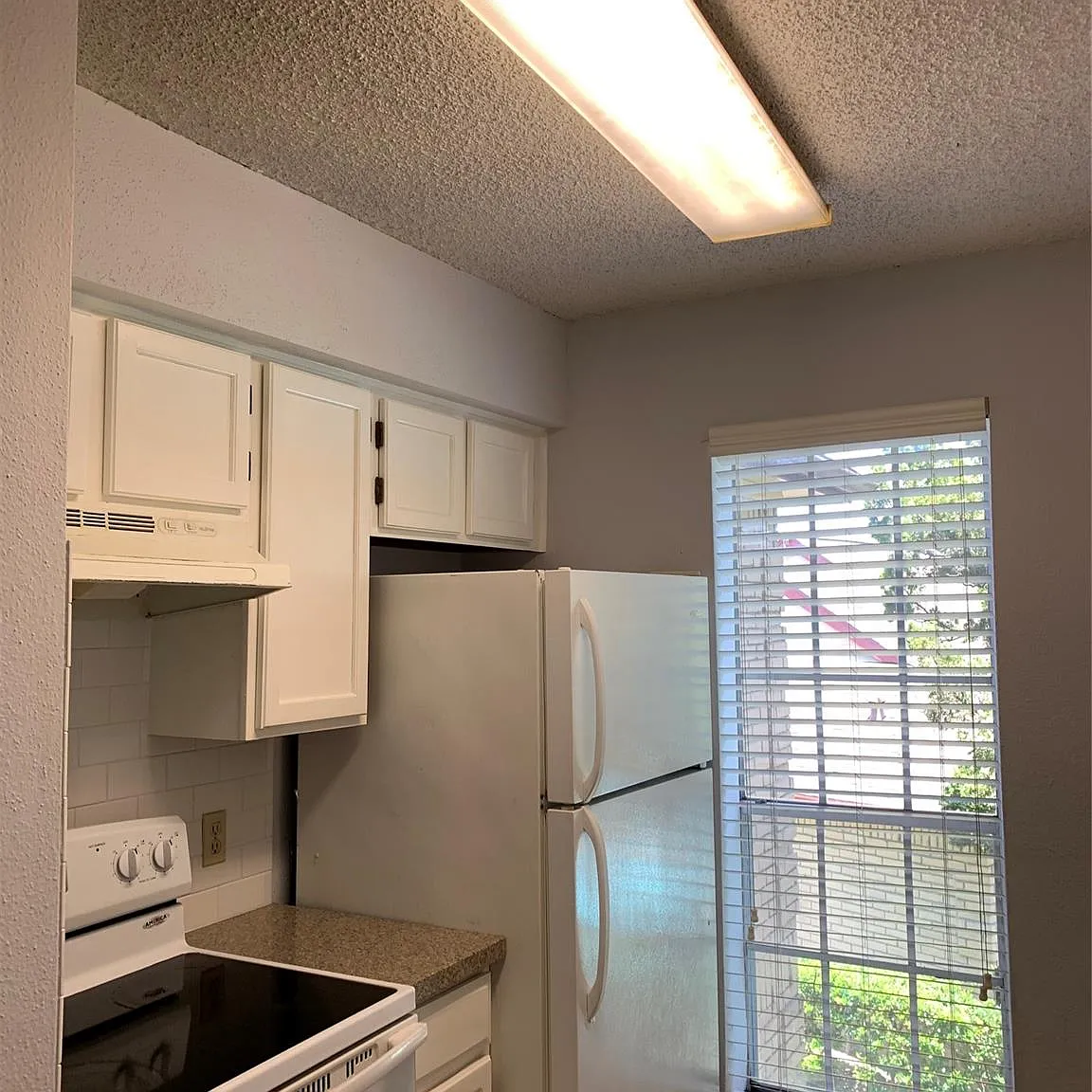 2 bed, 1.0 bath, 964 sqft, $1,250 — Photo 4