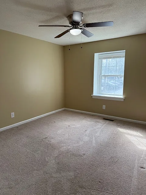 145 Jones Franklin Rd — Photo 4