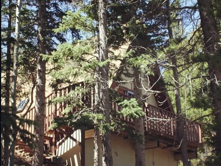 620 Lower Travis Gulch Rd — Photo 4