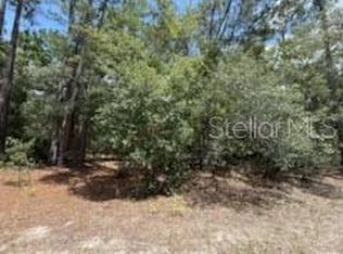 109 Pinellas St LOT 11, Florahome, FL 32140