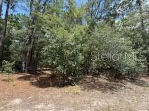 109 Pinellas St Lot 11, Florahome, FL 32140