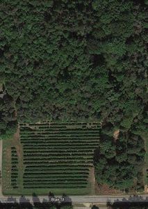 Blair St, West Olive, MI, 49460