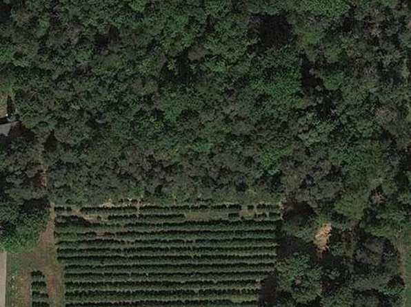 Blair St, West Olive, MI 49460