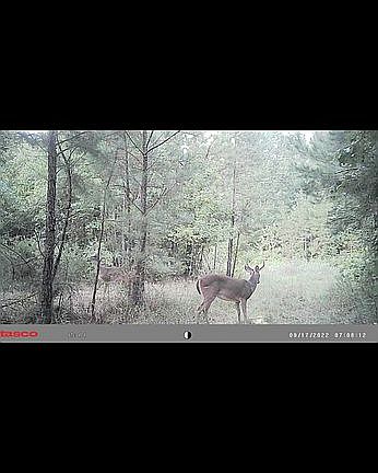 2nd image of 5691 Us Highway 96 N