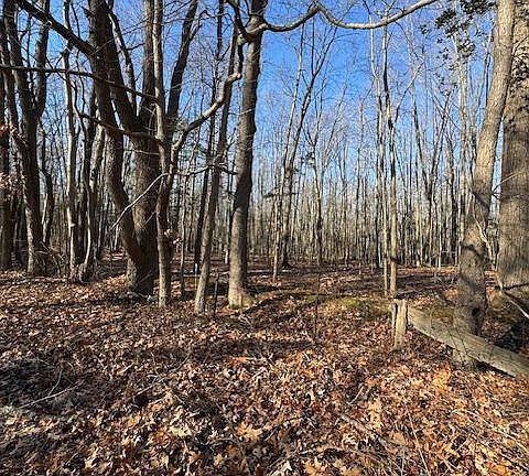 4th image of 2389 White Oak Rd