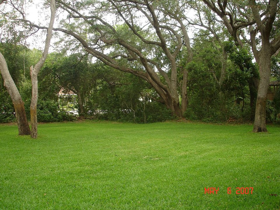back yard