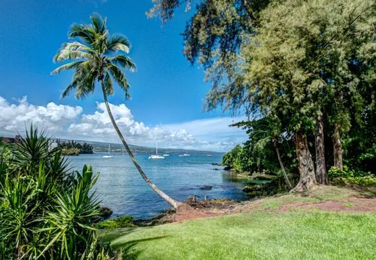 355 Kalanianaole Ave #119 — Photo 4