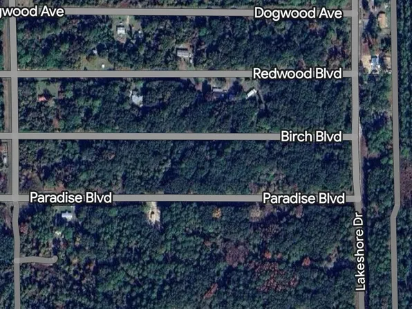 330 Chipola Dr, Georgetown, FL 32139