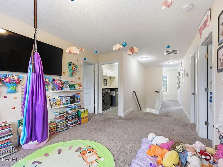 317 Little Egret Ln — Photo 29