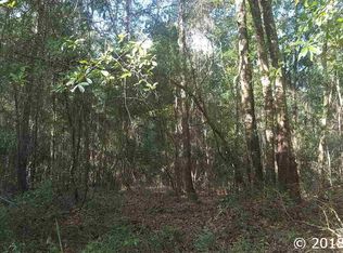 303 SW Spaulding Ct, Fort White, FL 32038