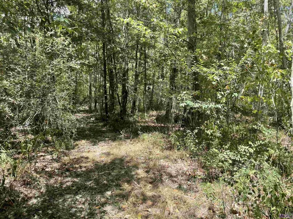 11458 E Blackwater Rd, Baker, LA 70714