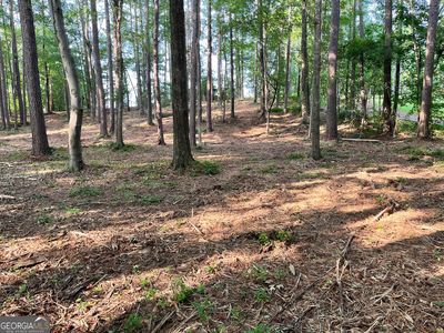 0 Winterberry Ln, Rome, GA, 30161