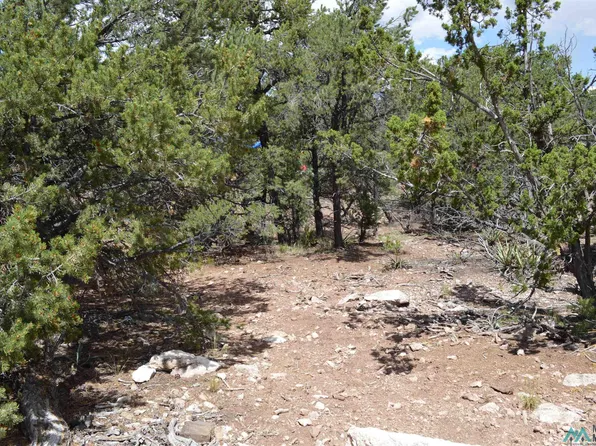 Marlin Dr, Thoreau, NM 87323