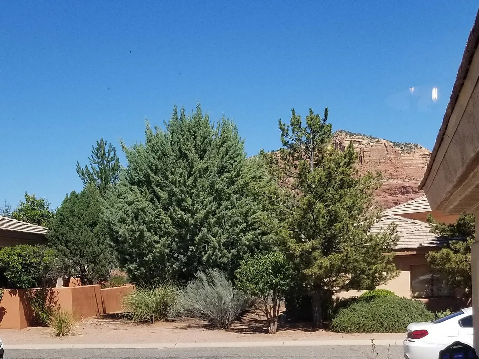 2 bed, 2.0 bath, 1932 sqft, $3,700 — Photo 4