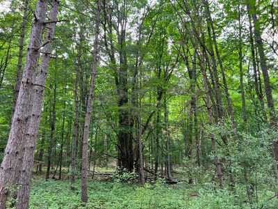 E Fox Farm Rd, Manistee, MI, 49660