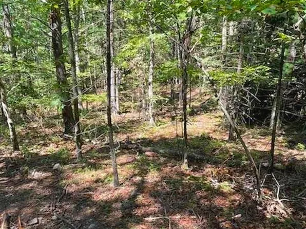 50 Davids Rd, Delray, WV 26714