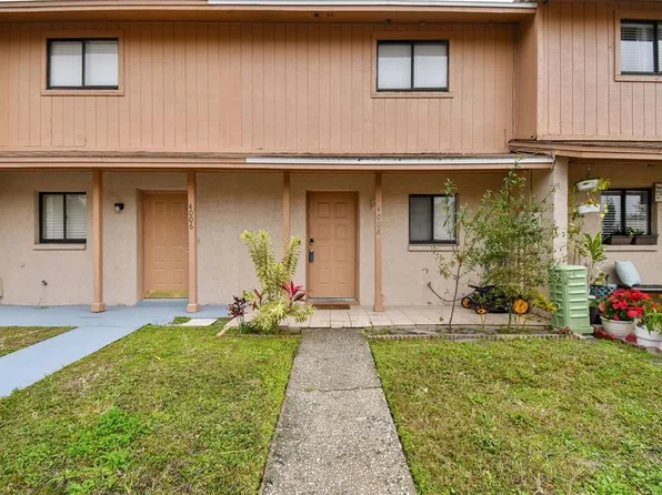 4008 Pine Limb Ct, Tampa, FL 33614