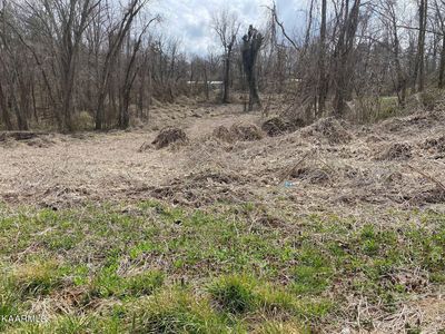 Chapman Rd, Jamestown, TN, 38556