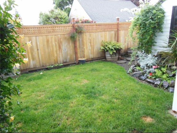 Right side of back yard