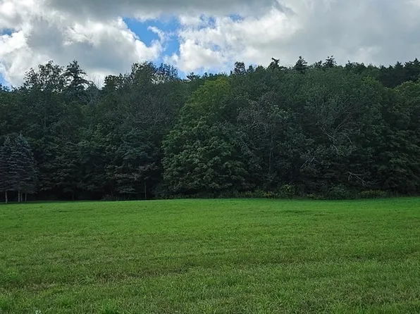 0 Mile Lane Rd, Sayre, PA 18840