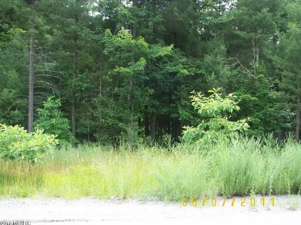 4402 Duck Creek Ln, Whitehall, MI 49461