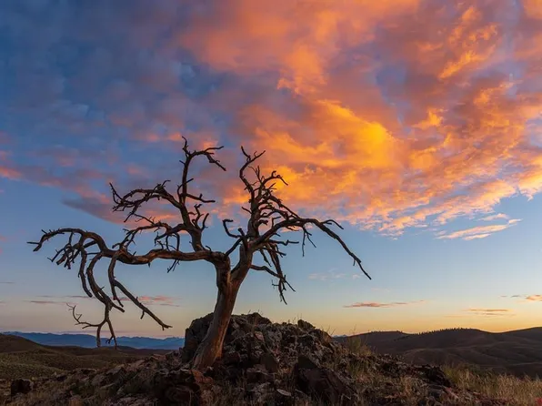 Tract 20 Lick Creek Lane, Gunnison, CO 81230