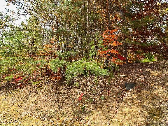 4th image of 2753 Murray Ridge Rd #53