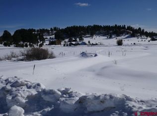 369 Saddle Cir, Pagosa Springs, CO 81147