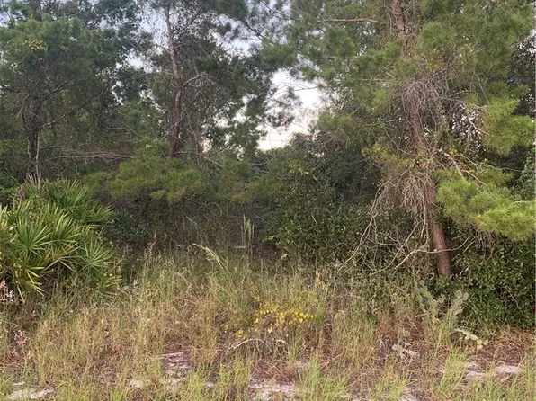 245 Loquat Rd NW, Lake Placid, FL 33852