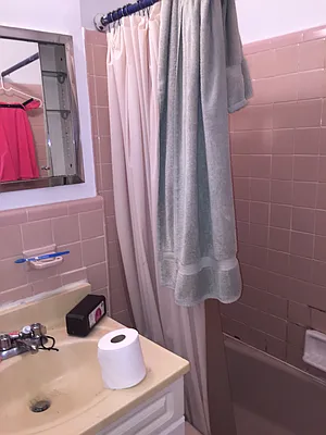 Rented by Metroline Realty | media 19